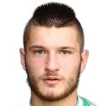 V. Kerchev V. Kerchev