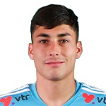 M. Meneses M. Meneses
