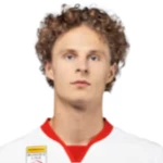 M. Kjaergaard M. Kjaergaard
