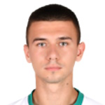 S. Gavrilov S. Gavrilov