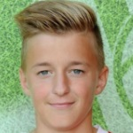 M. Rolinek M. Rolinek