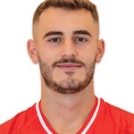 M. Shanaj M. Shanaj