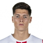 S. Čestić S. Čestić