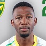 N. Dlamini N. Dlamini