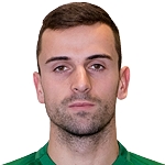 N. Janković N. Janković