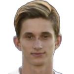 D. Pleštil D. Pleštil
