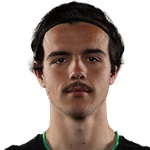 N. Milanovic N. Milanovic