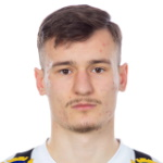 R. Dzabic R. Dzabic