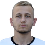 M. Milushev M. Milushev