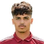 S. Yiğit S. Yiğit