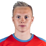 D. Hafsteinsson D. Hafsteinsson