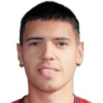 I. Iriarte I. Iriarte