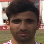 L. Ben Hassine L. Ben Hassine