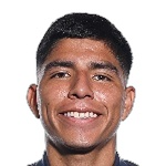 P. A. Quispe Cordova P. A. Quispe Cordova