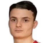D. Salcinovic D. Salcinovic