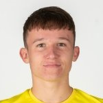 М. Иленич