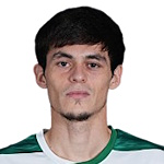 T. Ibishev T. Ibishev
