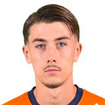 L. Mincarelli Davin L. Mincarelli Davin