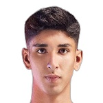 E. Doğan E. Doğan