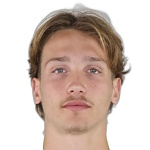 L. Monticelli L. Monticelli
