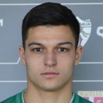D. Rakić D. Rakić