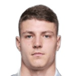 M. Luković M. Luković