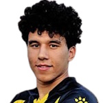 Ahmed Fawzi Ahmed Fawzi