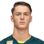 S. Hamzić S. Hamzić
