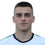 N. Zlatev N. Zlatev