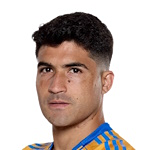 N. Ibáñez N. Ibáñez