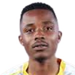 N. Mhlongo N. Mhlongo