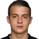 N. Mihajlović N. Mihajlović