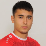 N. Miličić N. Miličić