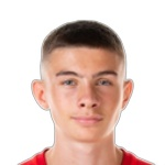 N. Ajanovic N. Ajanovic