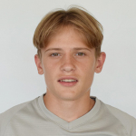 D. Chernysh D. Chernysh