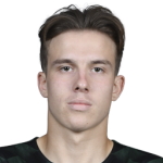 N. Plotnikov N. Plotnikov
