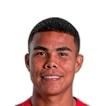 M. Castillo M. Castillo