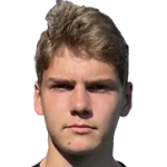 N. Kamaev N. Kamaev