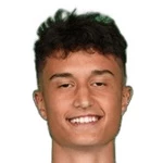M. Mitrović M. Mitrović