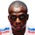 L. Diarra L. Diarra