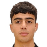 P. Manukyan P. Manukyan