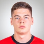 M. Vedeneev M. Vedeneev