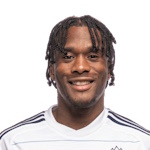 L. Johnson L. Johnson