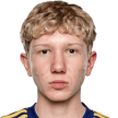 Л. Мойса