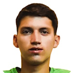 F. Pereira F. Pereira