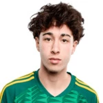 N. Santos N. Santos