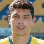 P. Antoche P. Antoche
