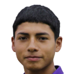 C. Saavedra C. Saavedra