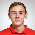 P. Volodkin P. Volodkin