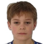 N. Godec N. Godec